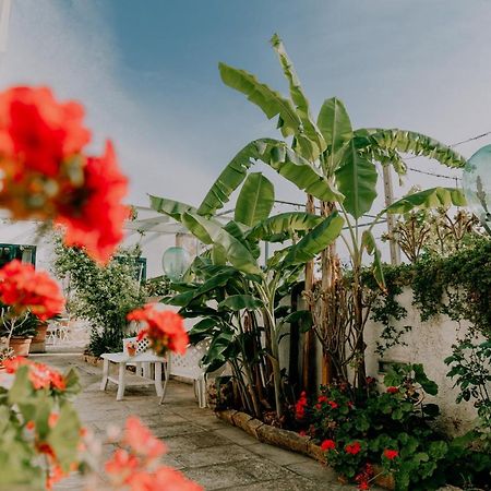 Masseria Agriturismo Il Sorriso Degli Ulivi - Dimora Di Charme Gallipolli Exteriör bild