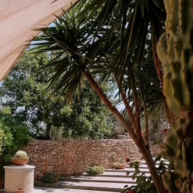 Masseria Agriturismo Il Sorriso Degli Ulivi - Dimora Di Charme Gallipolli Exteriör bild