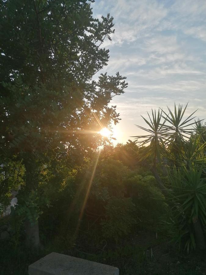 Masseria Agriturismo Il Sorriso Degli Ulivi - Dimora Di Charme Gallipolli Exteriör bild