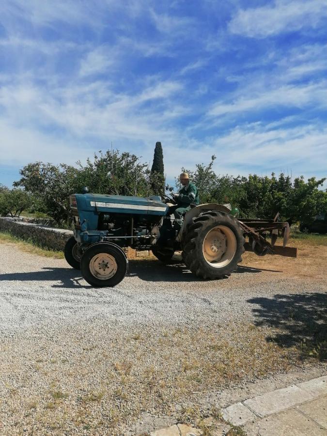 Masseria Agriturismo Il Sorriso Degli Ulivi - Dimora Di Charme Gallipolli Exteriör bild