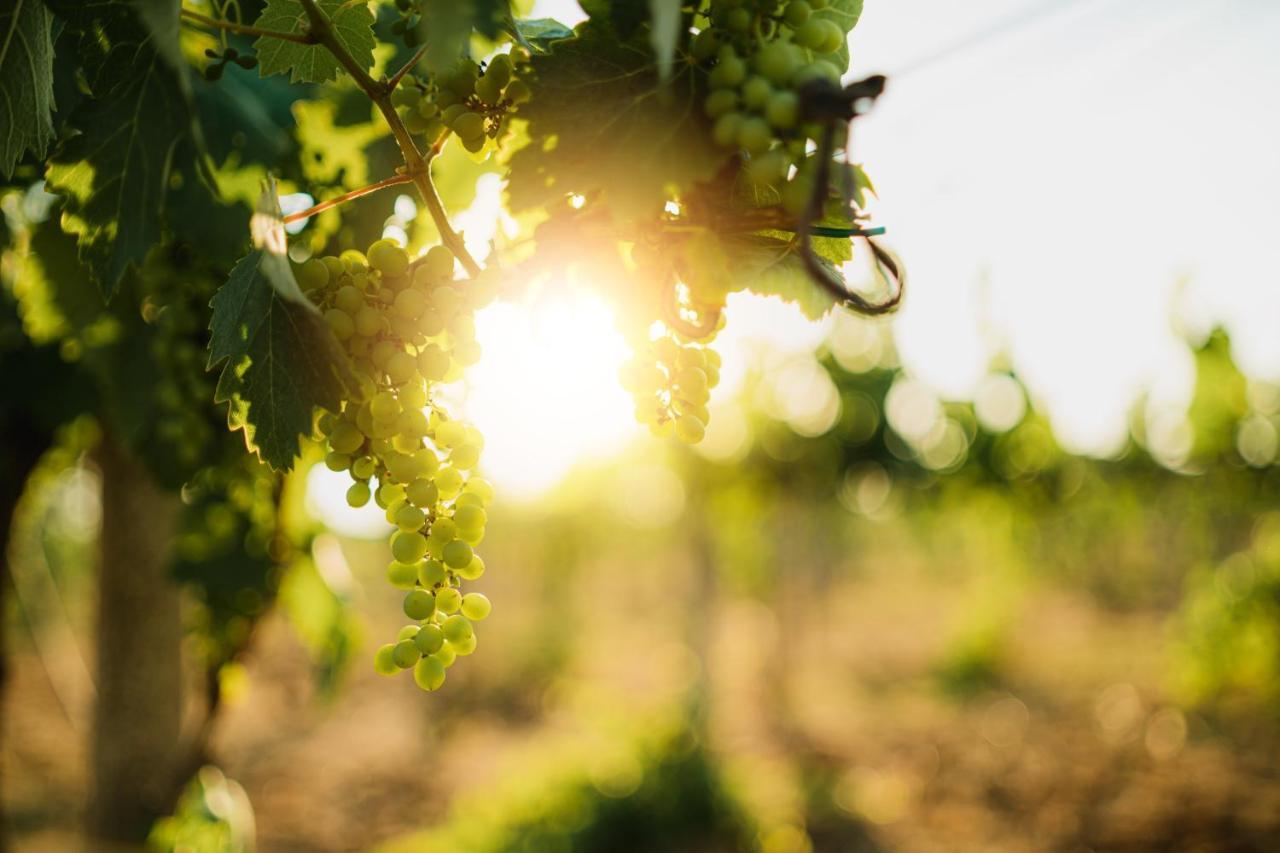 Masseria Agriturismo Il Sorriso Degli Ulivi - Dimora Di Charme Gallipolli Exteriör bild