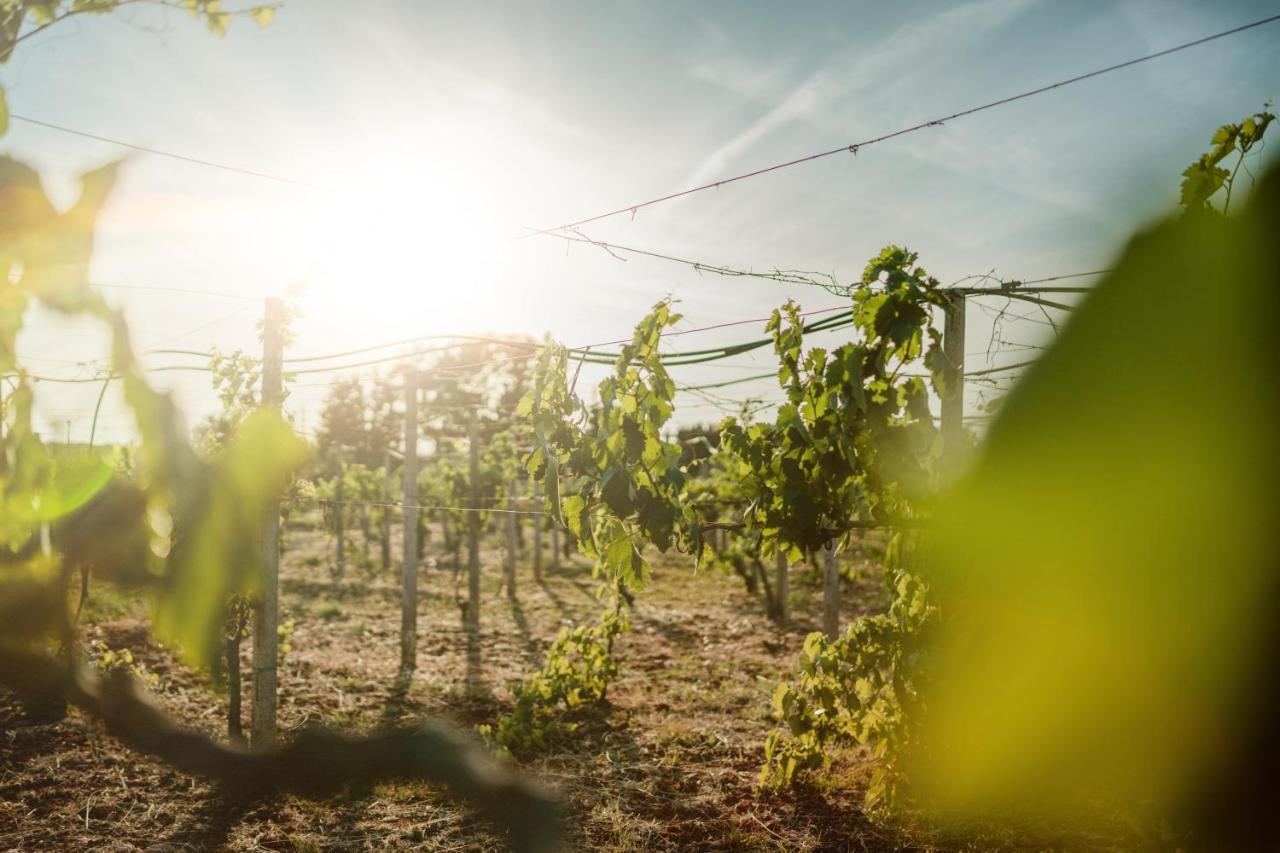 Masseria Agriturismo Il Sorriso Degli Ulivi - Dimora Di Charme Gallipolli Exteriör bild