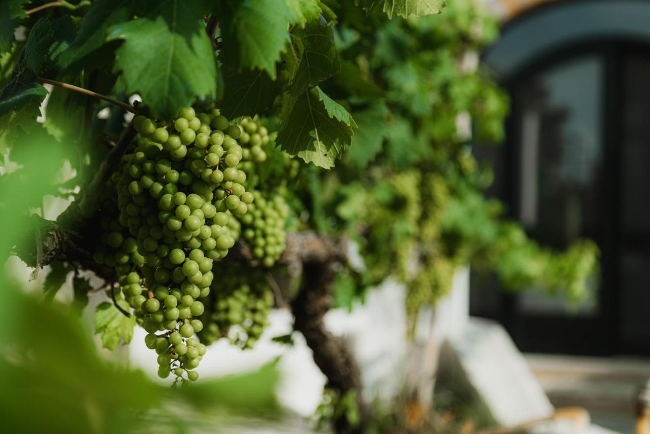 Masseria Agriturismo Il Sorriso Degli Ulivi - Dimora Di Charme Gallipolli Exteriör bild